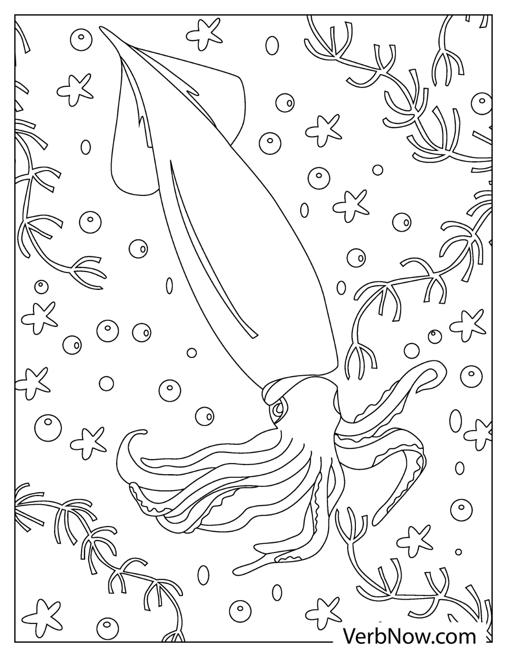 squid coloring pages free printable