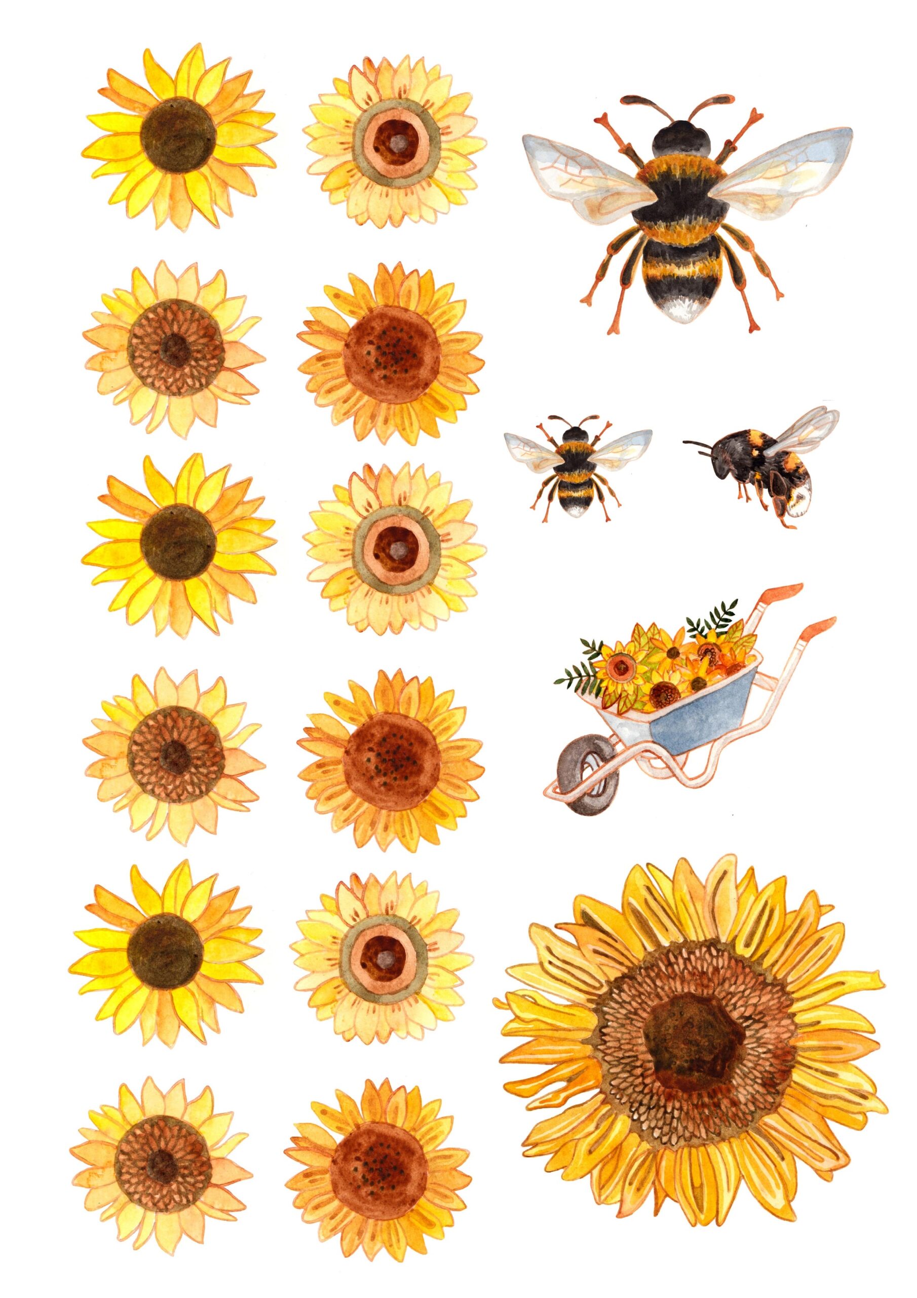 Free Sunflower Printables Gathered