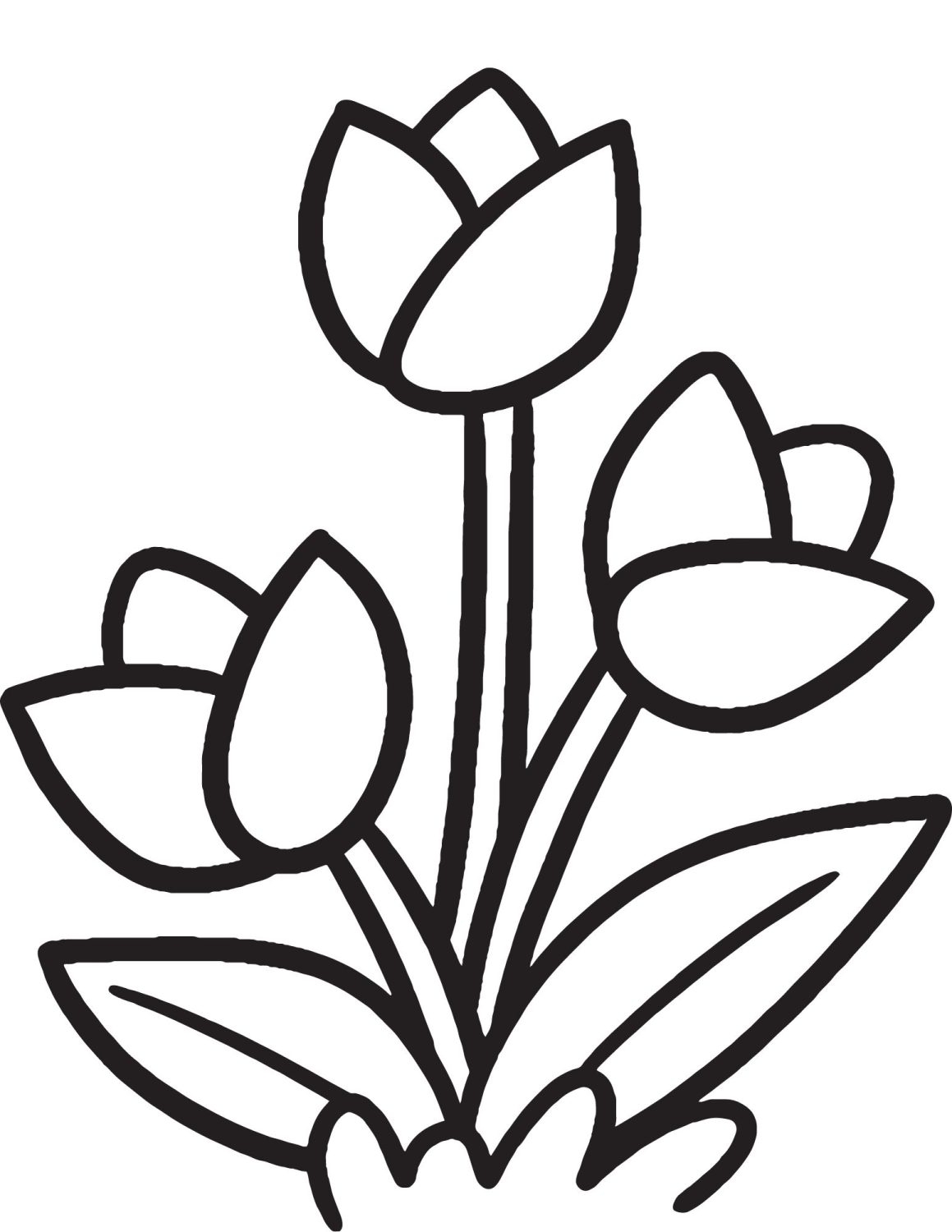 printable tulip coloring sheet