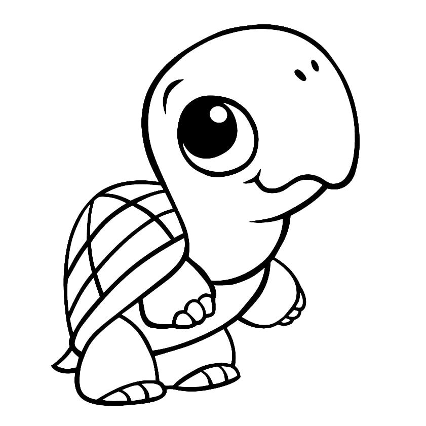 printable turtle pictures to color