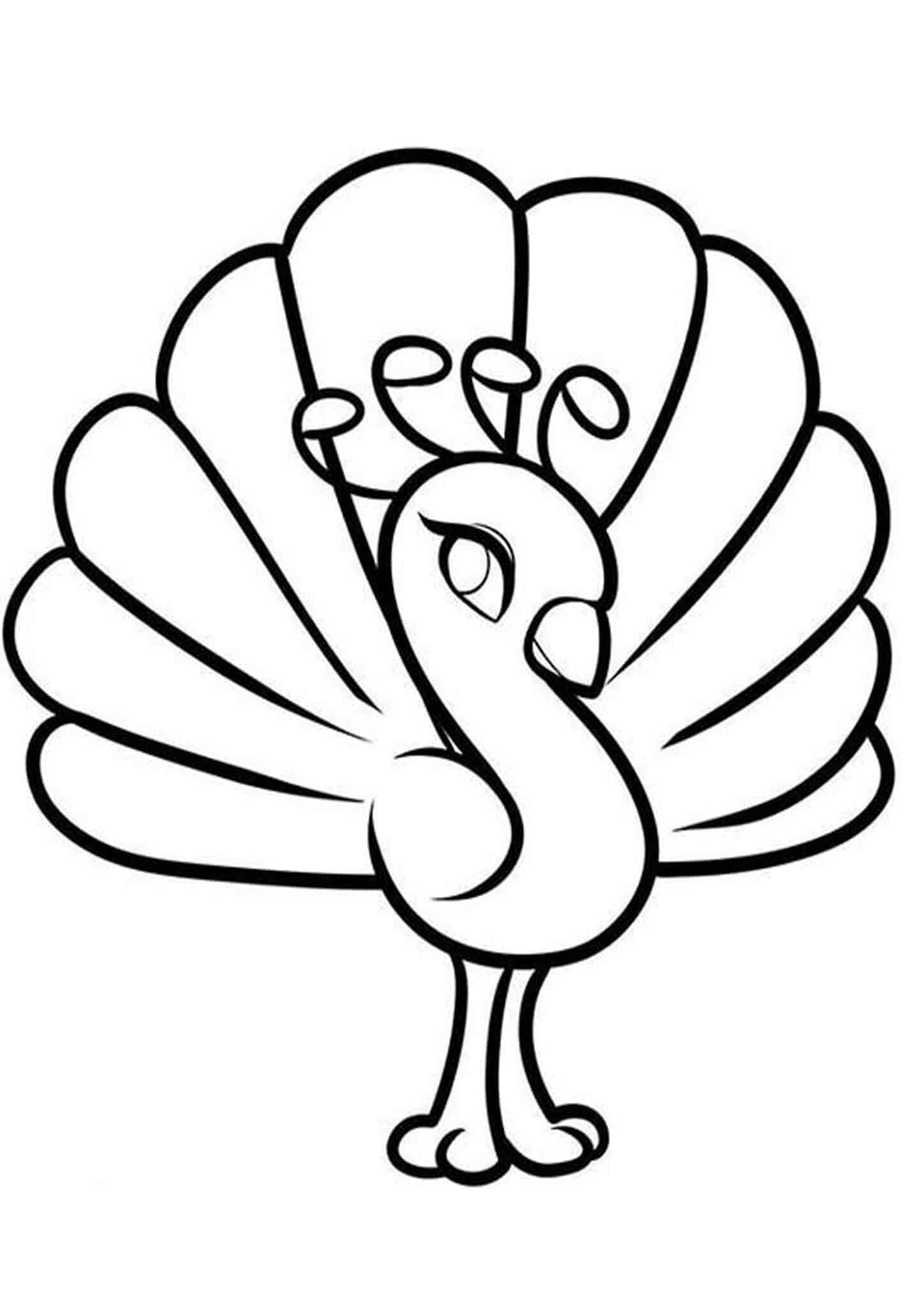 Free U0026 Easy To Print Peacock Coloring Pages Tulamama