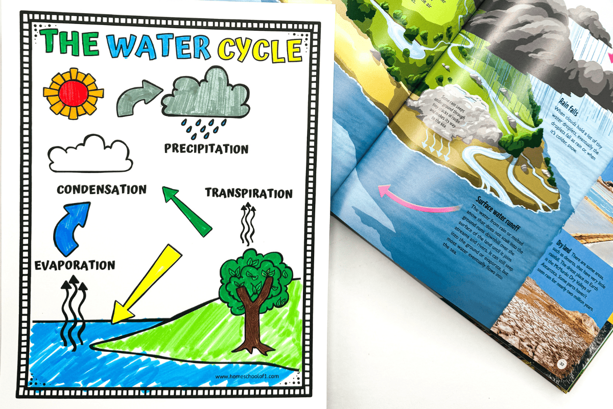 water cycle coloring page free
