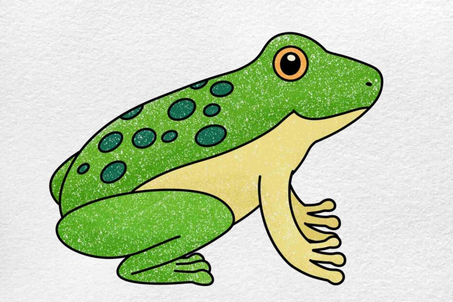 Frog Drawing easy HelloArtsy
