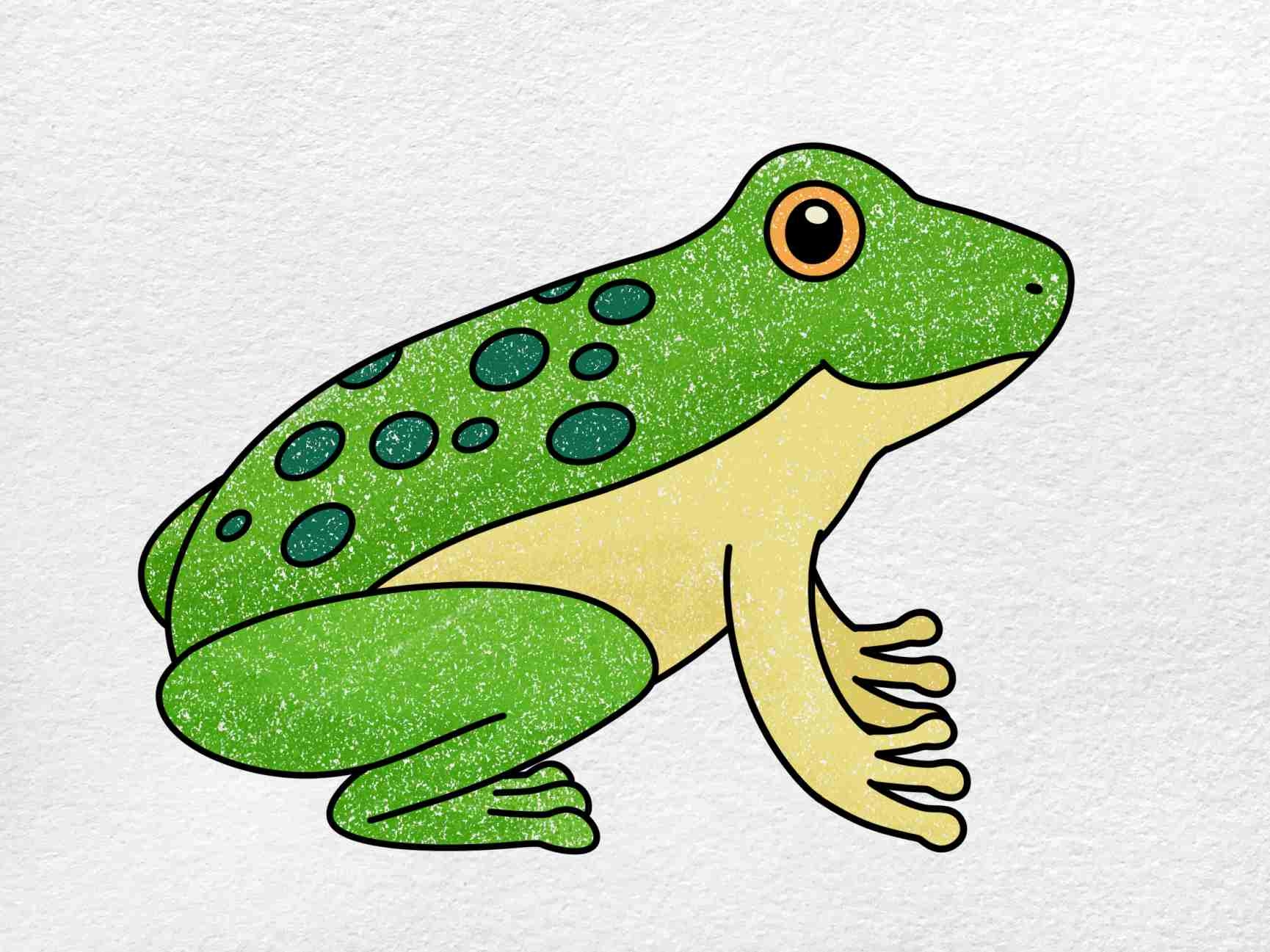 Frog Drawing easy HelloArtsy
