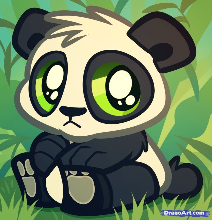 panda bear drawing