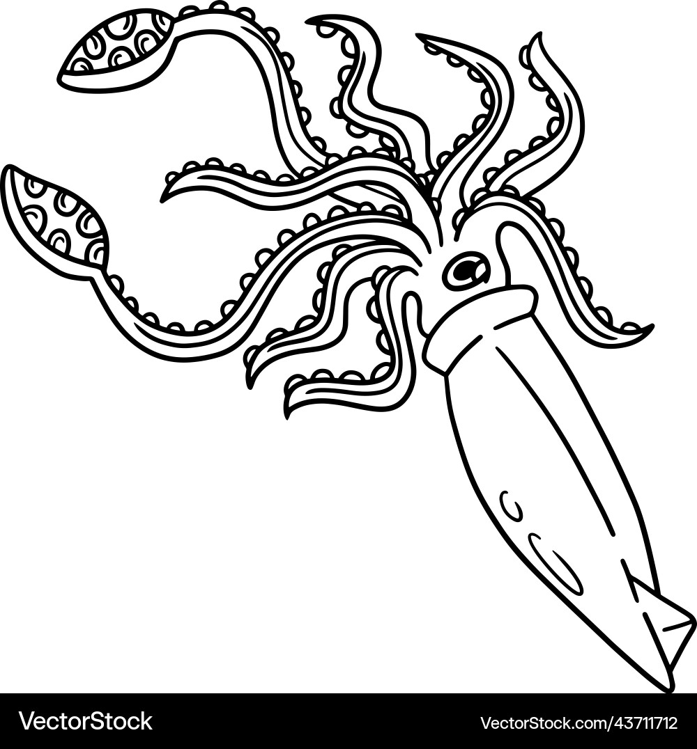 Giant Squid Coloring Page For Kids Royalty Free Vector Image