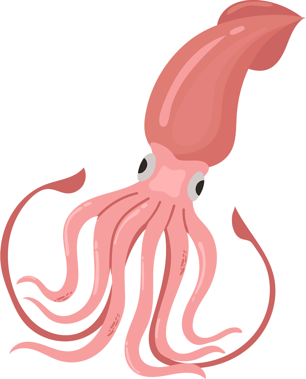 Giant Squid Free Vector Clipart Images On Creazilla