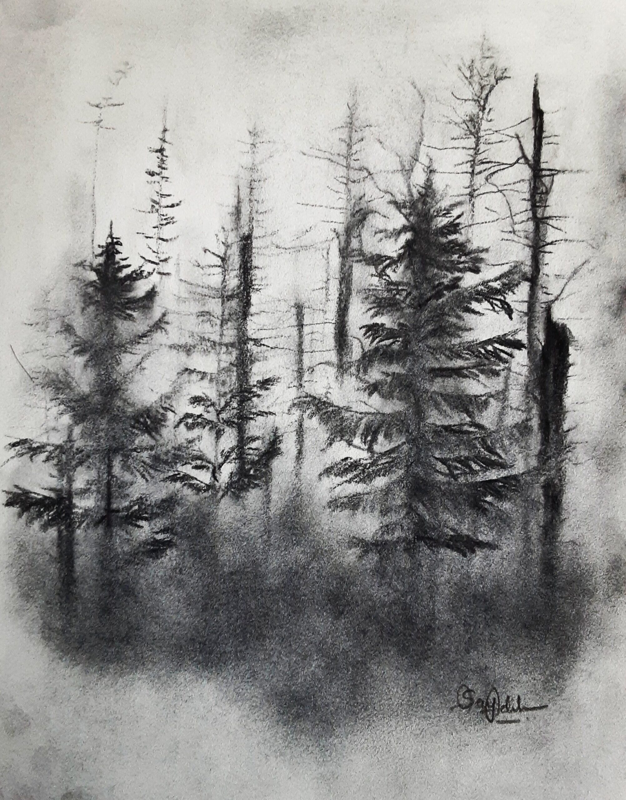 Gloomy Forest Landscape Charcoal Drawing Rustic Landscape Charcoal Drawing Gallery Wall Art Without Frame 