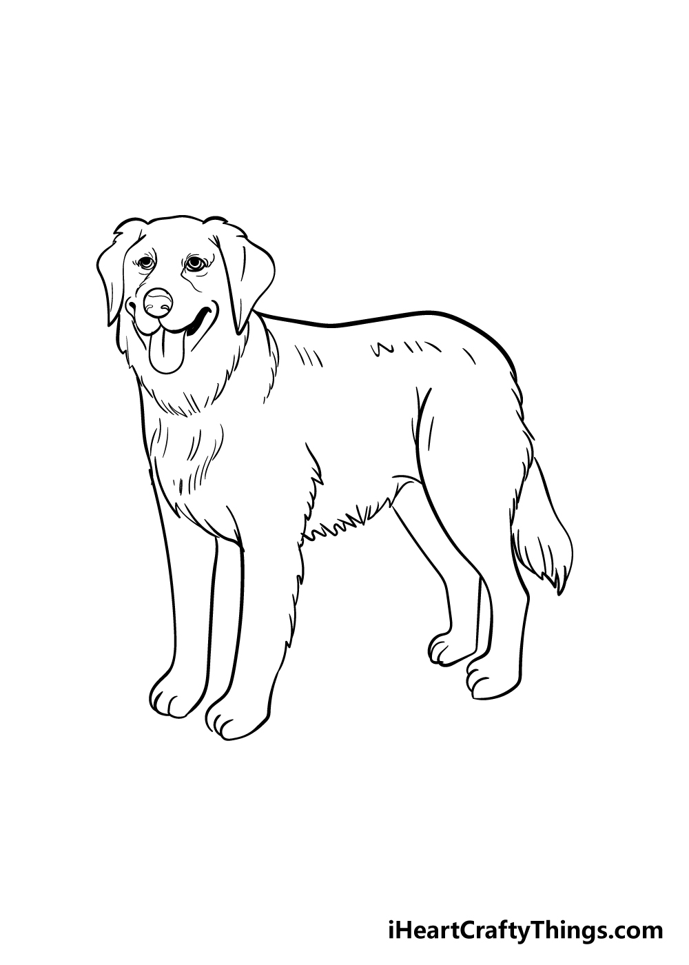 how to draw a golden retriever