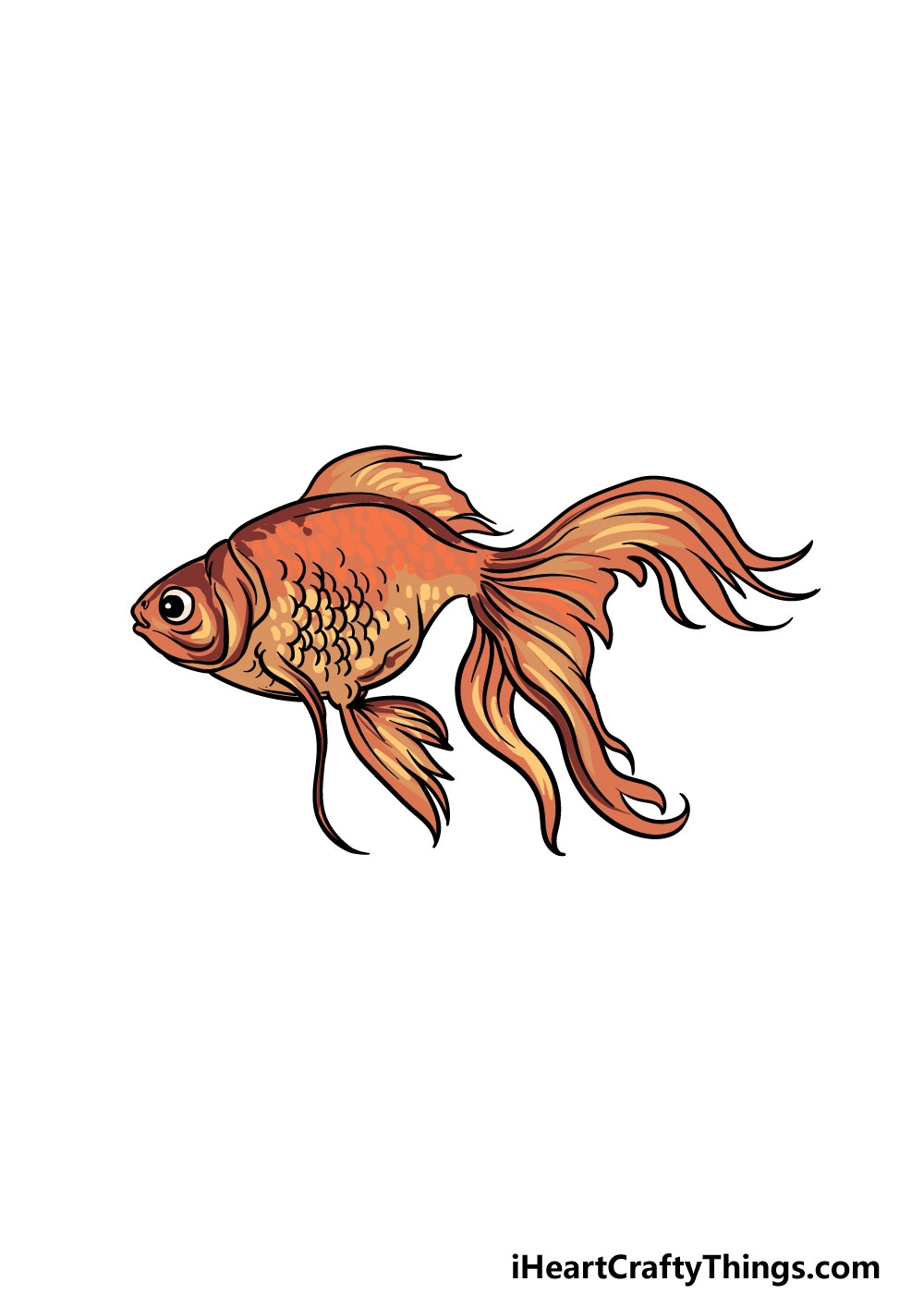 Goldfish Drawing How To Draw A Goldfish Step By Step