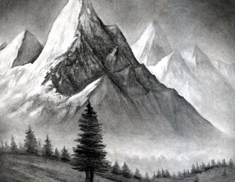Graphite Pencil Drawing Materials Jay Greig