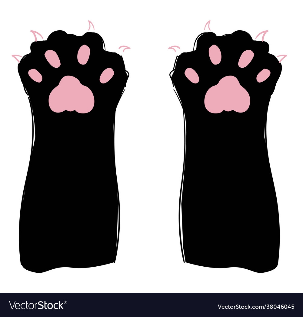 cat paw drawing