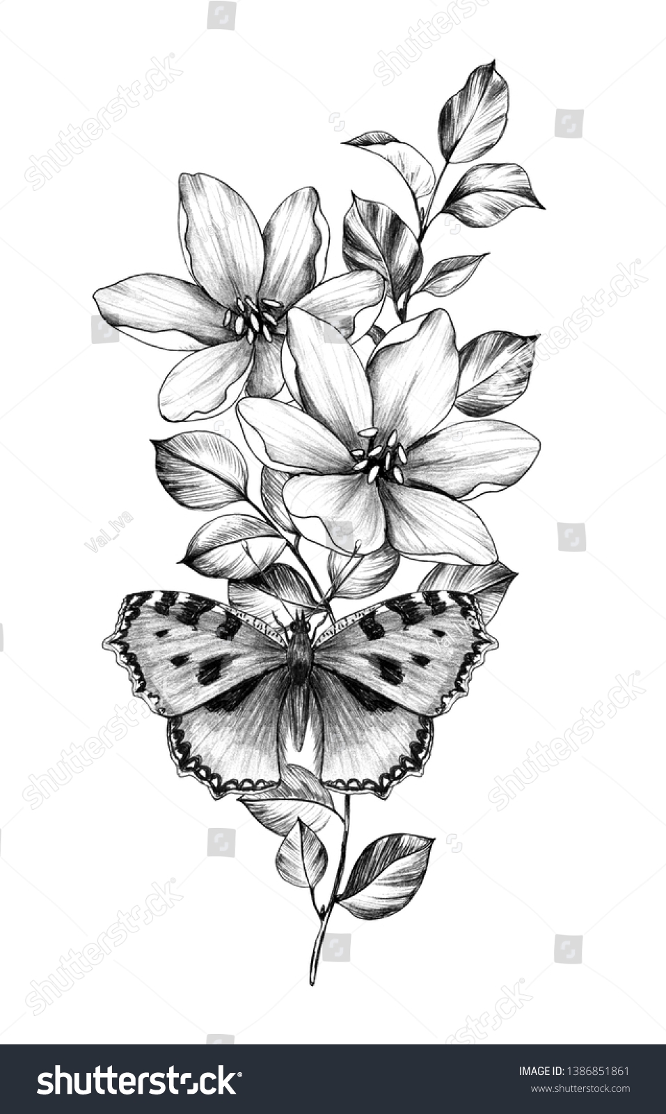 Hand Drawn Butterfly Flowers Isolated On Stock Illustration 1386851861 Shutterstock