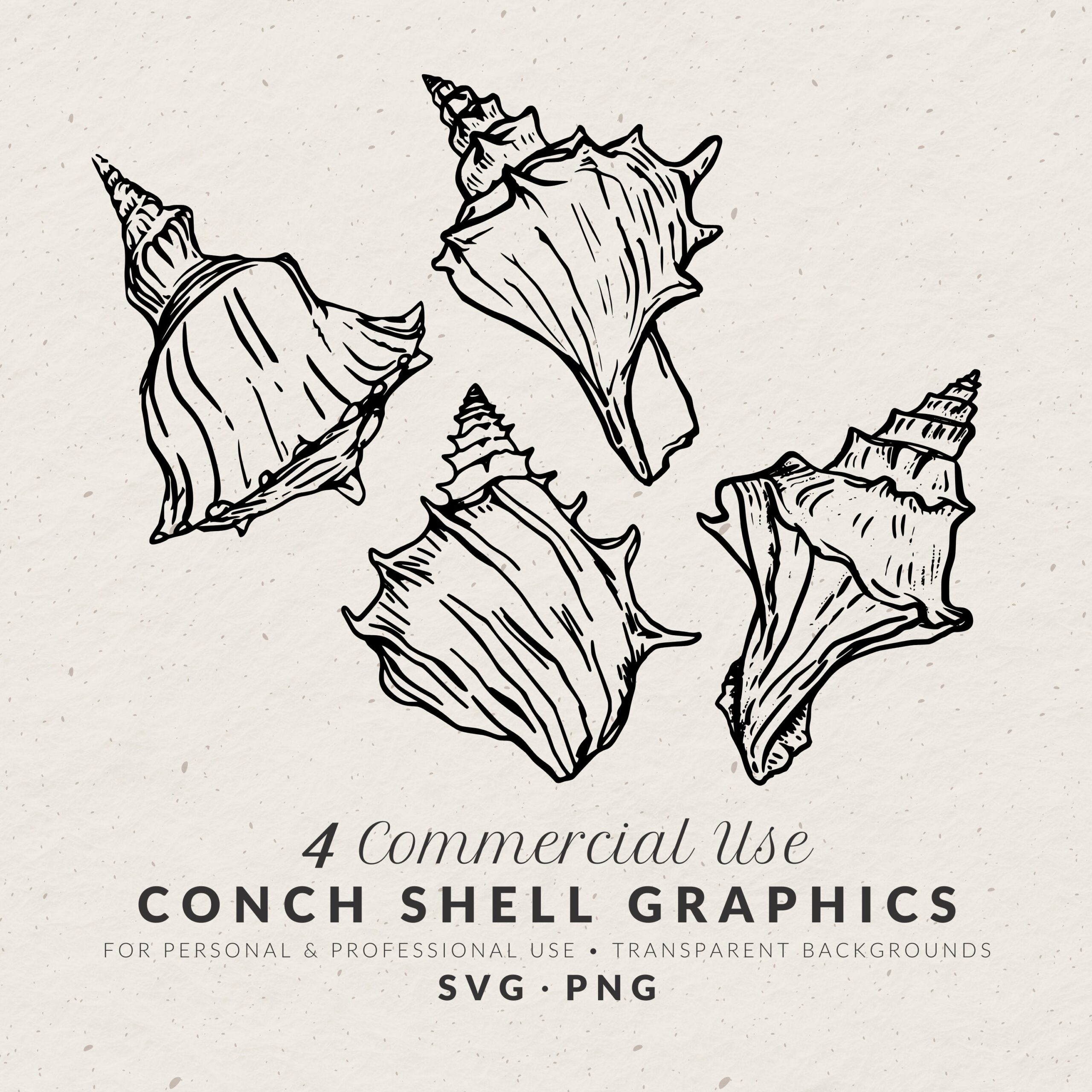 Hand Drawn Conch Shell Illustration Bundle SVG PNG Vintage 