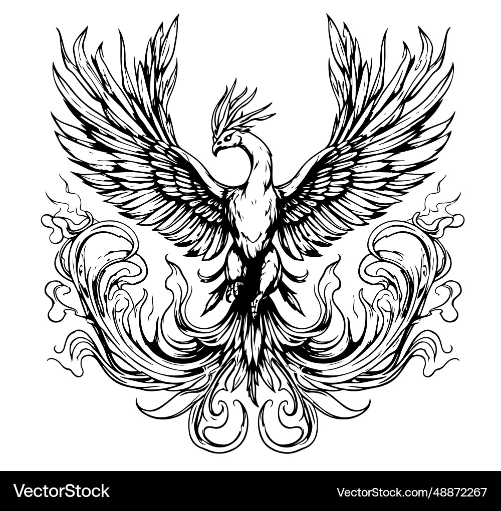 Hand Drawn Phoenix Sketch Royalty Free Vector Image