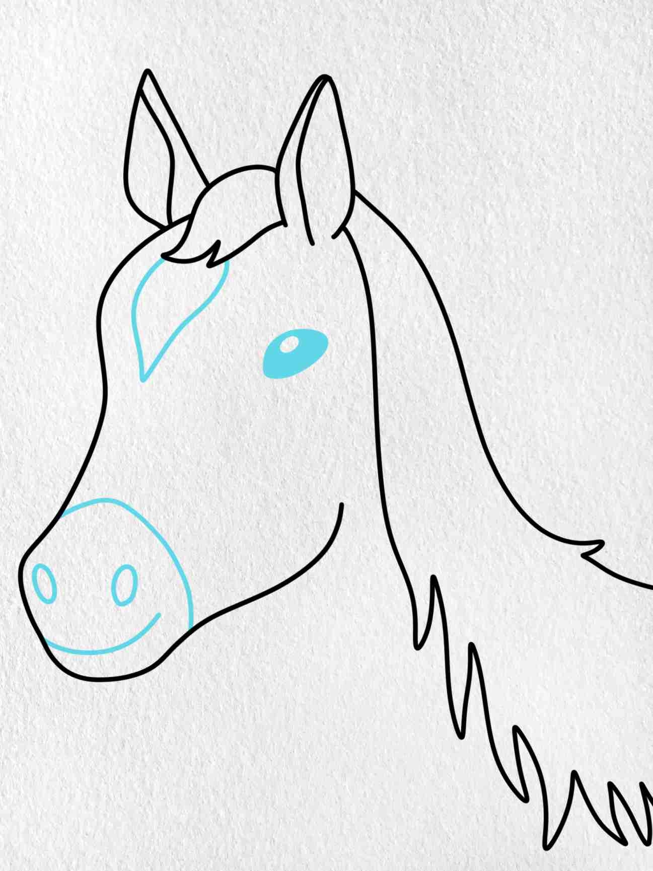 head of horse drawing