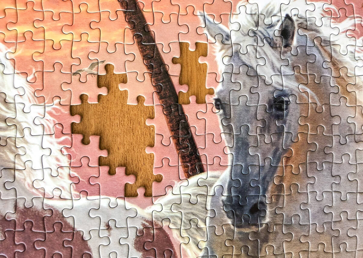Horse Jigsaw Puzzles