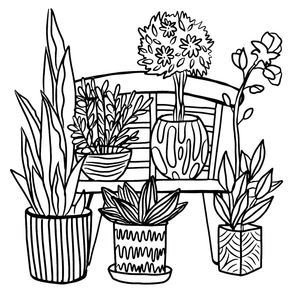 Houseplants Coloring Pages Free Printable Coloring Pages Of 