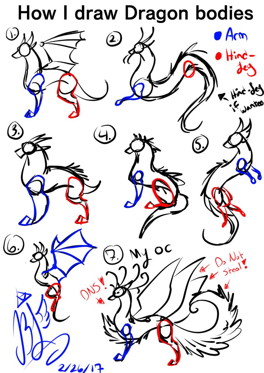 How I Draw Dragons sketch ChaosWing105 Illustrations ART Street