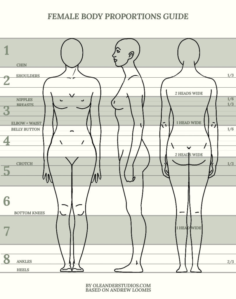 How To Always Get The Female Body Proportions In Drawing Right