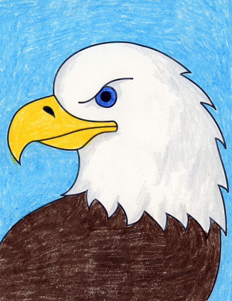 How To Draw A Bald Eagle Easy Step by Step Art Lesson For Kids