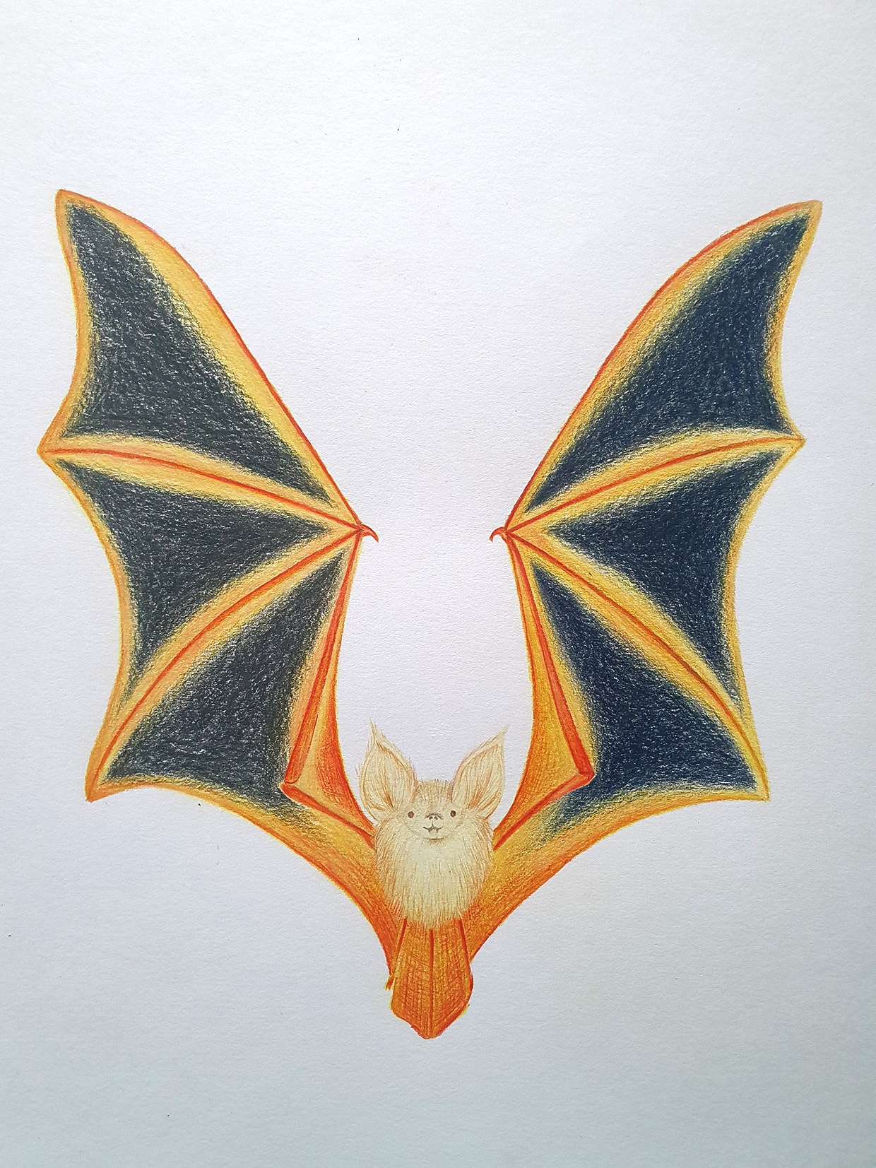How To Draw A Bat Step By Step Gathered