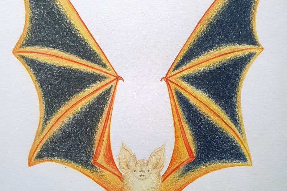 How To Draw A Bat Step By Step Gathered