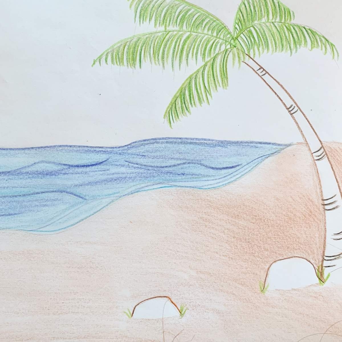 How To Draw A Beach Scene With A Palm Tree Basicdraw