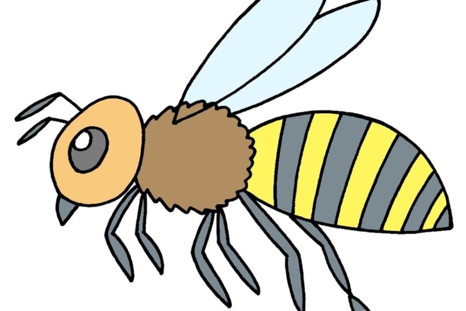 How To Draw A Bee How To Draw Easy