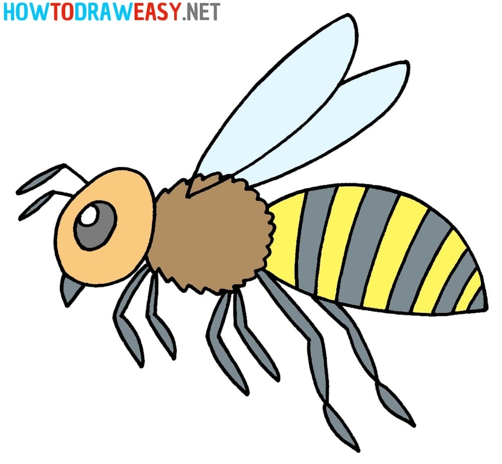 How To Draw A Bee How To Draw Easy