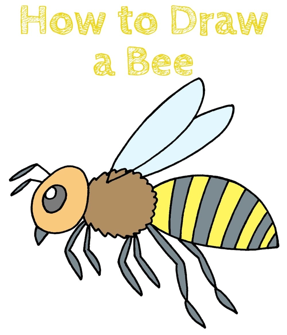 How To Draw A Bee How To Draw Easy