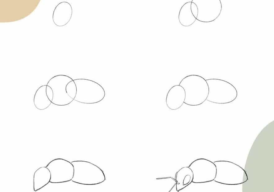How To Draw A Bee step By Step Tutorial