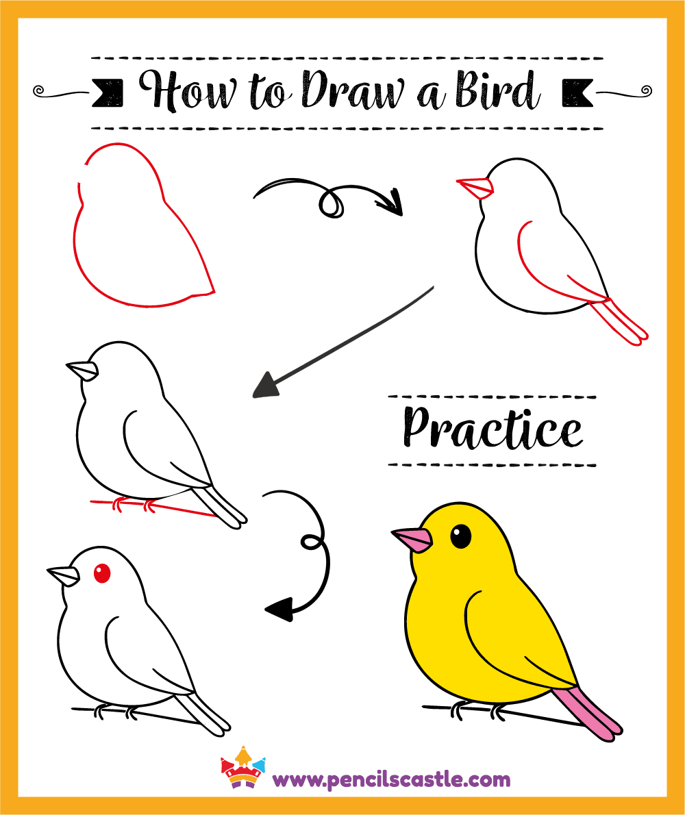 How To Draw A Bird For Kids Easy Drawing Free PDF 
