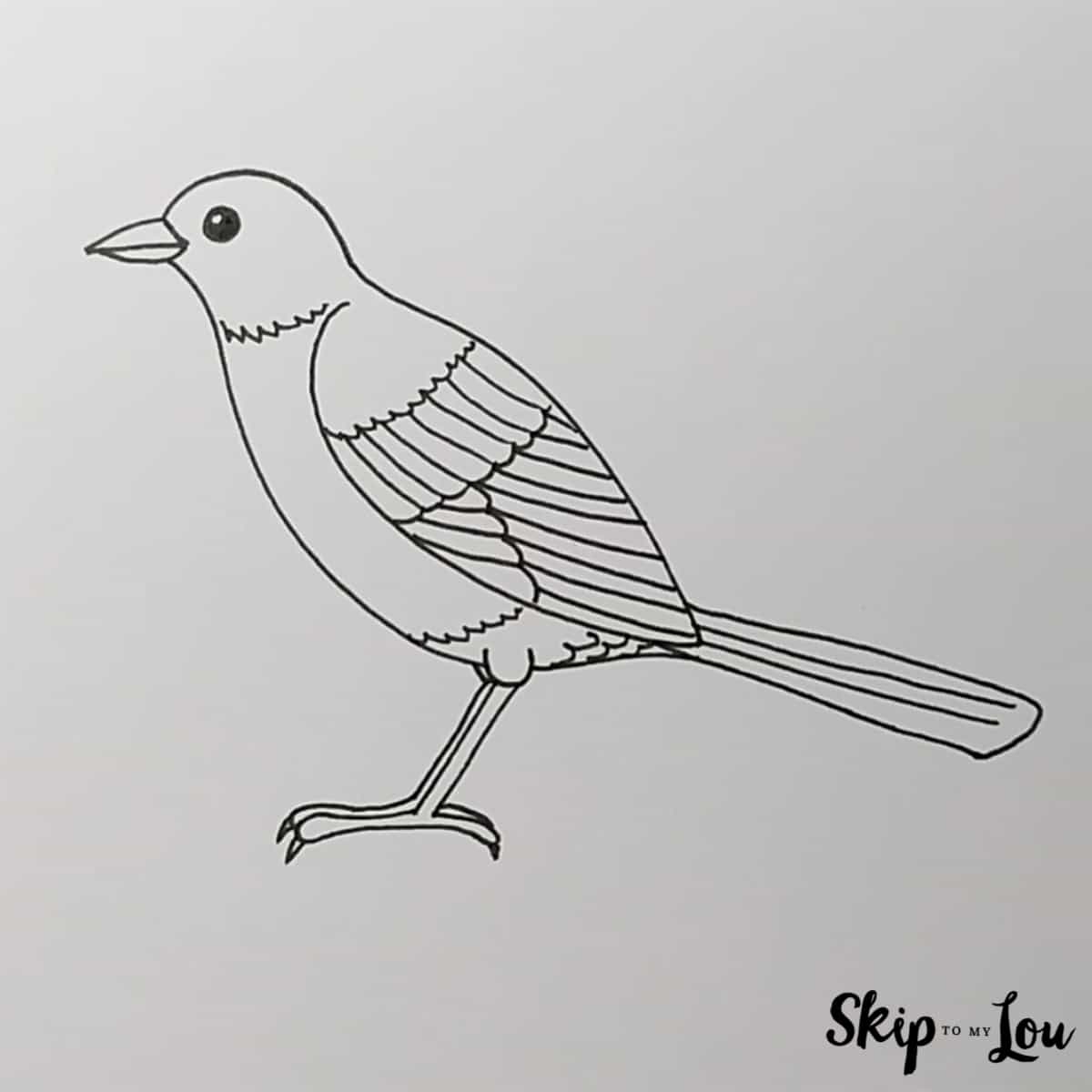 How To Draw A Bird Skip To My Lou