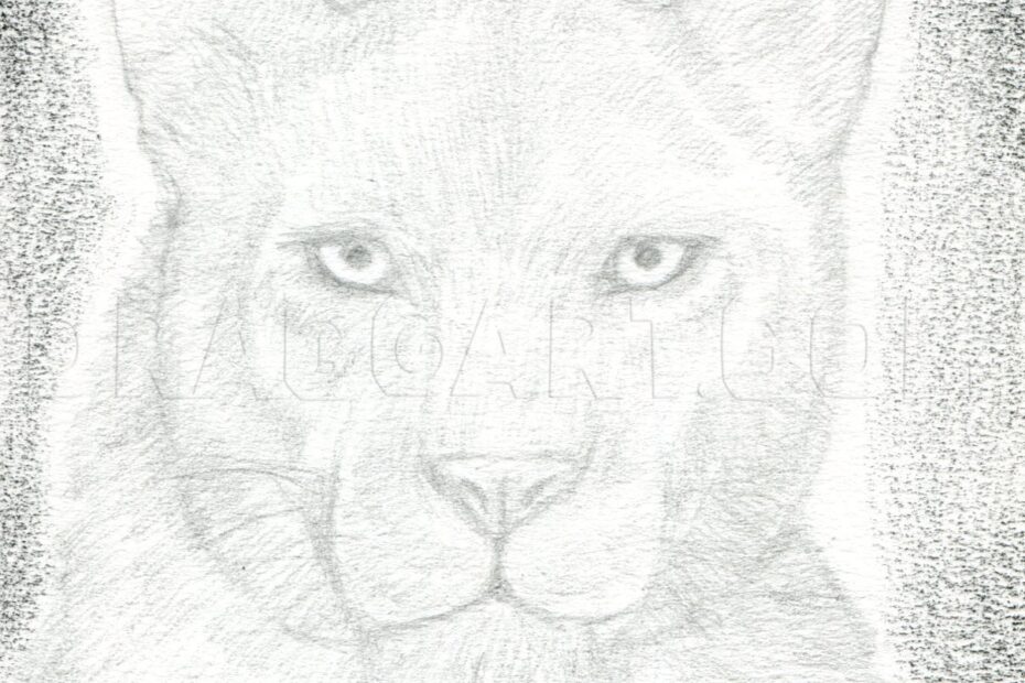 How To Draw A Black Panther Realistic Panther Drawing Step By Step By Finalprodigy DragoArt