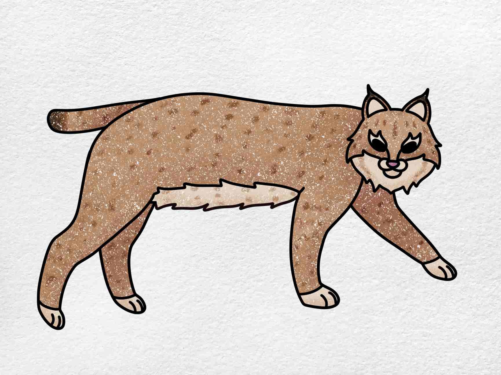 How To Draw A Bobcat HelloArtsy