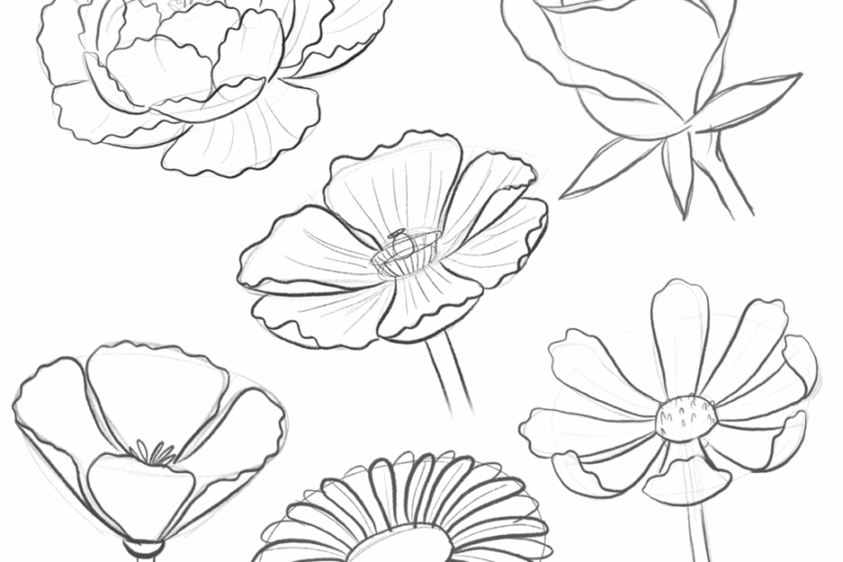 How To Draw A Bouquet Bardot Brush