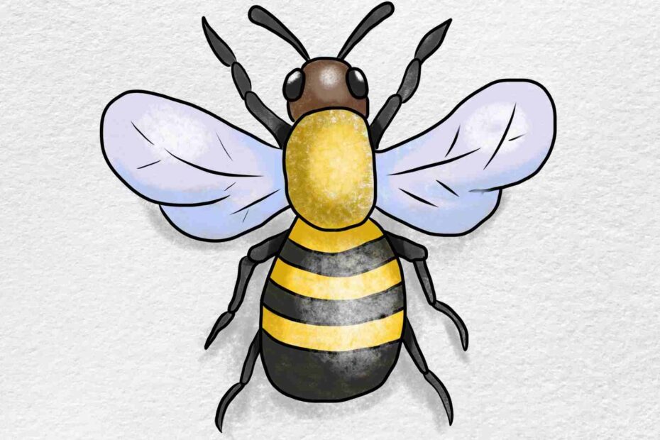 How To Draw A Bumblebee HelloArtsy