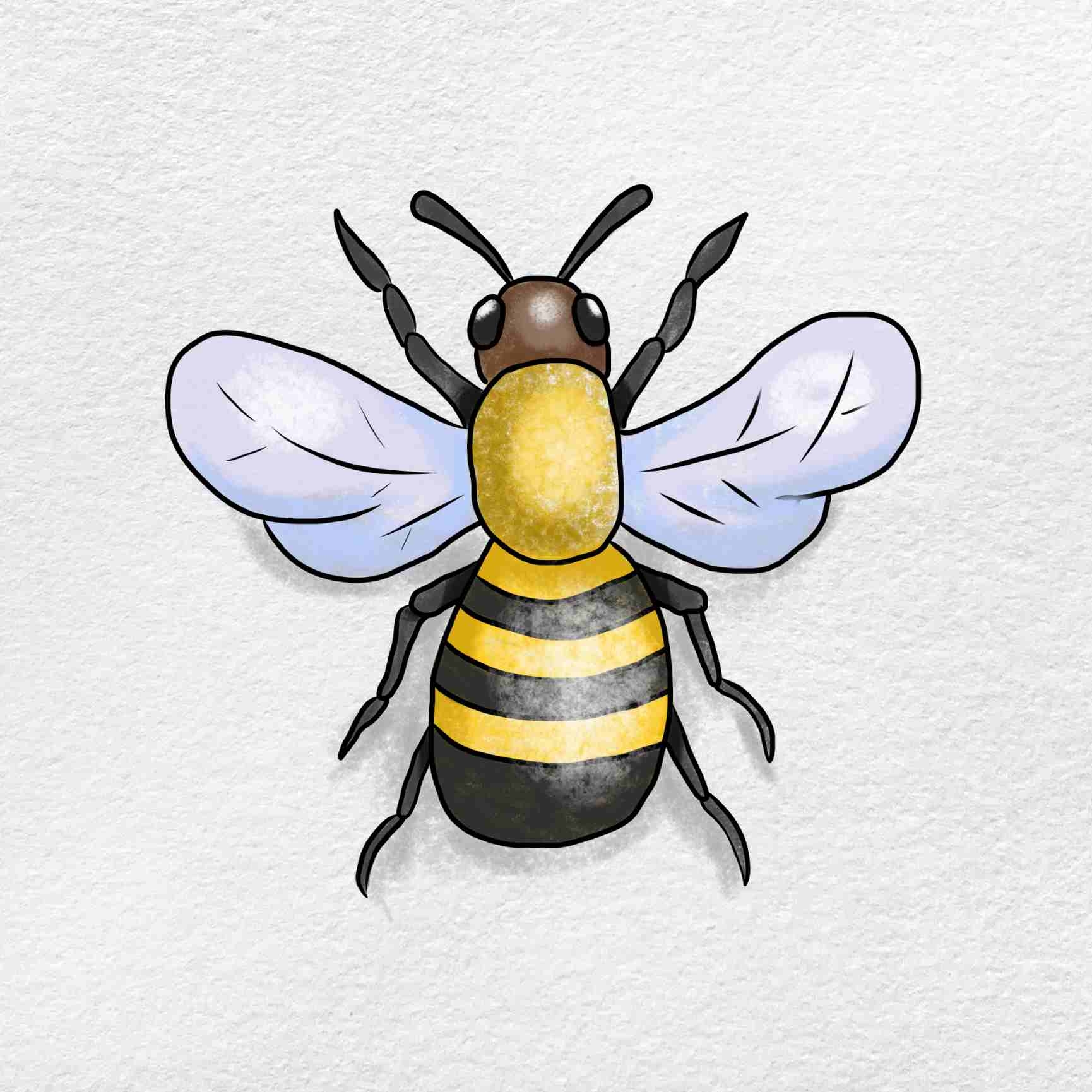 How To Draw A Bumblebee HelloArtsy