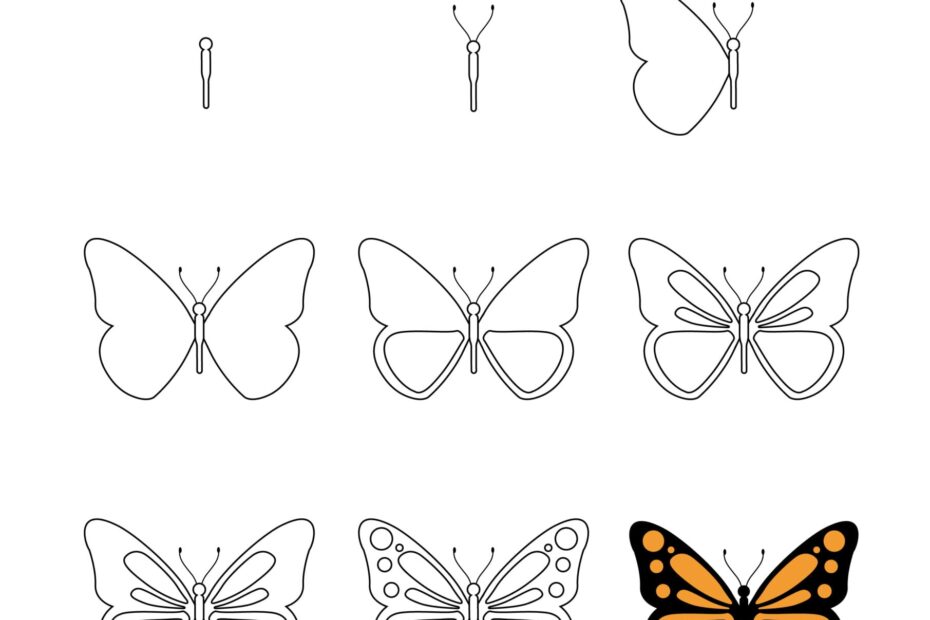 How To Draw A Butterfly