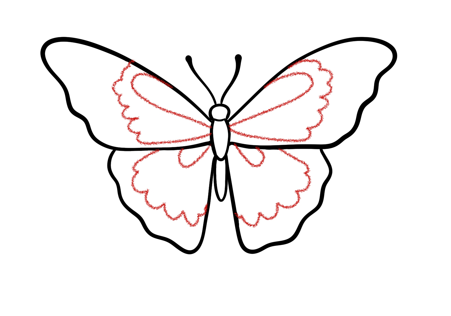 How To Draw A Butterfly Design School