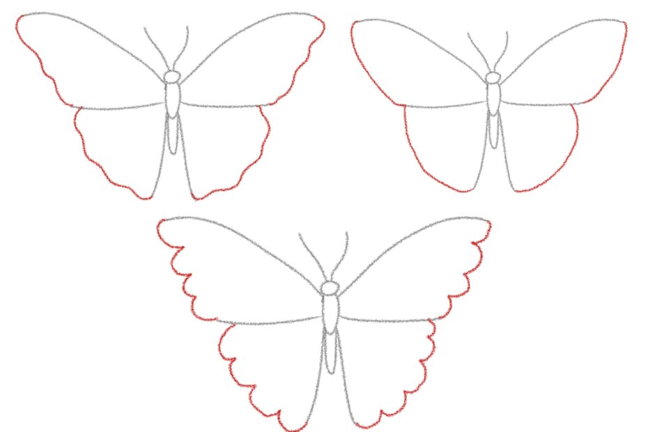 How To Draw A Butterfly Design School