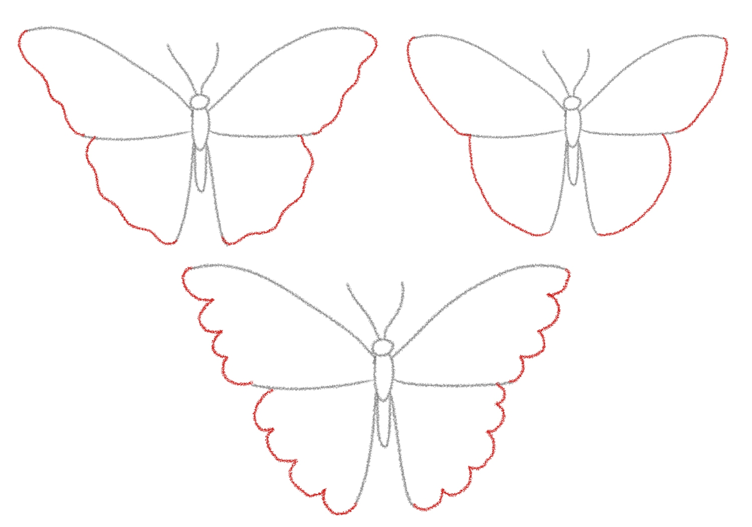 How To Draw A Butterfly Design School