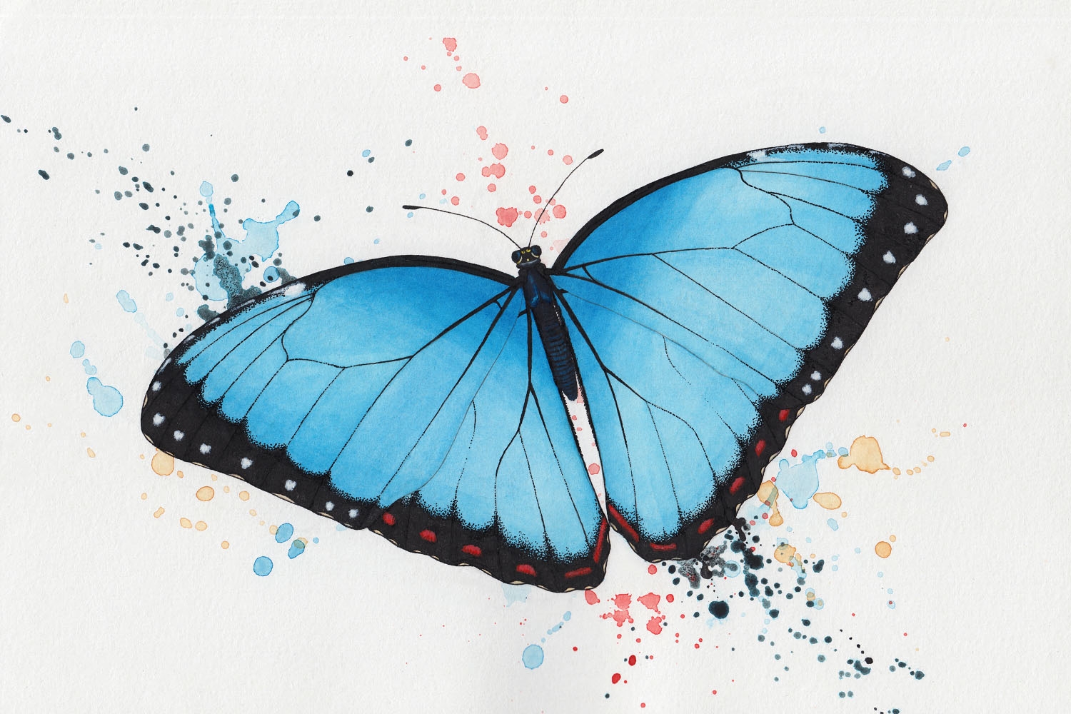 butterfly how to draw