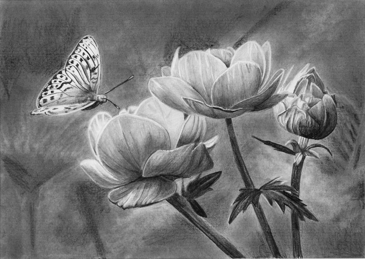 How To Draw A Butterfly On A Flower Online Art Lessons