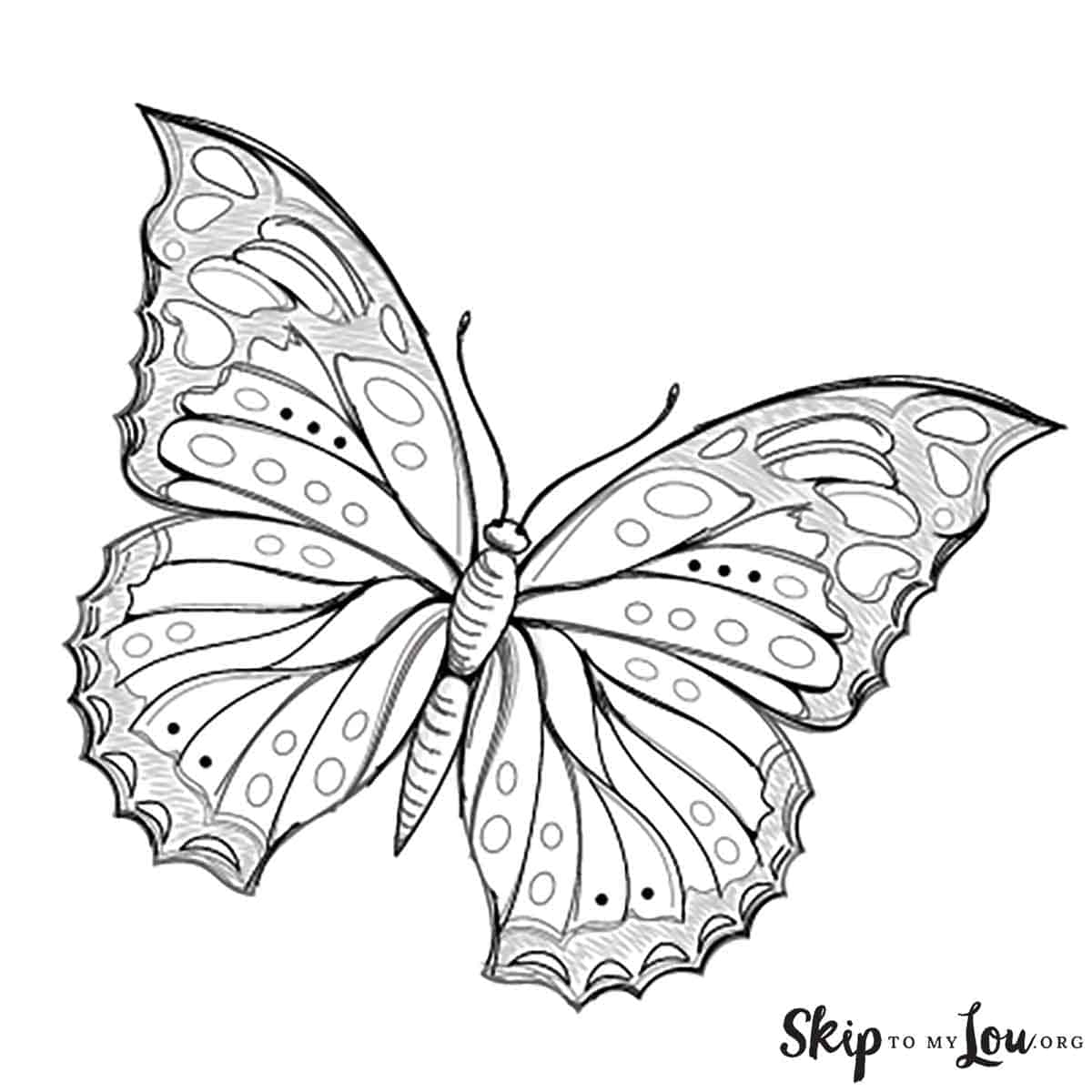 How To Draw A Butterfly Step By Step Skip To My Lou