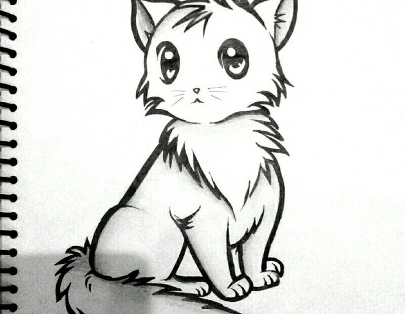 How To Draw A Cat Sketch A Day