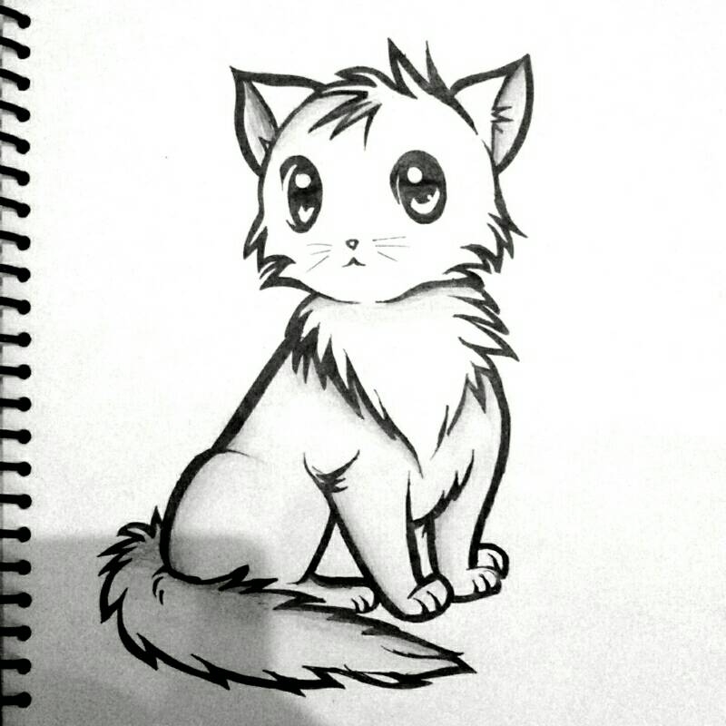 How To Draw A Cat Sketch A Day