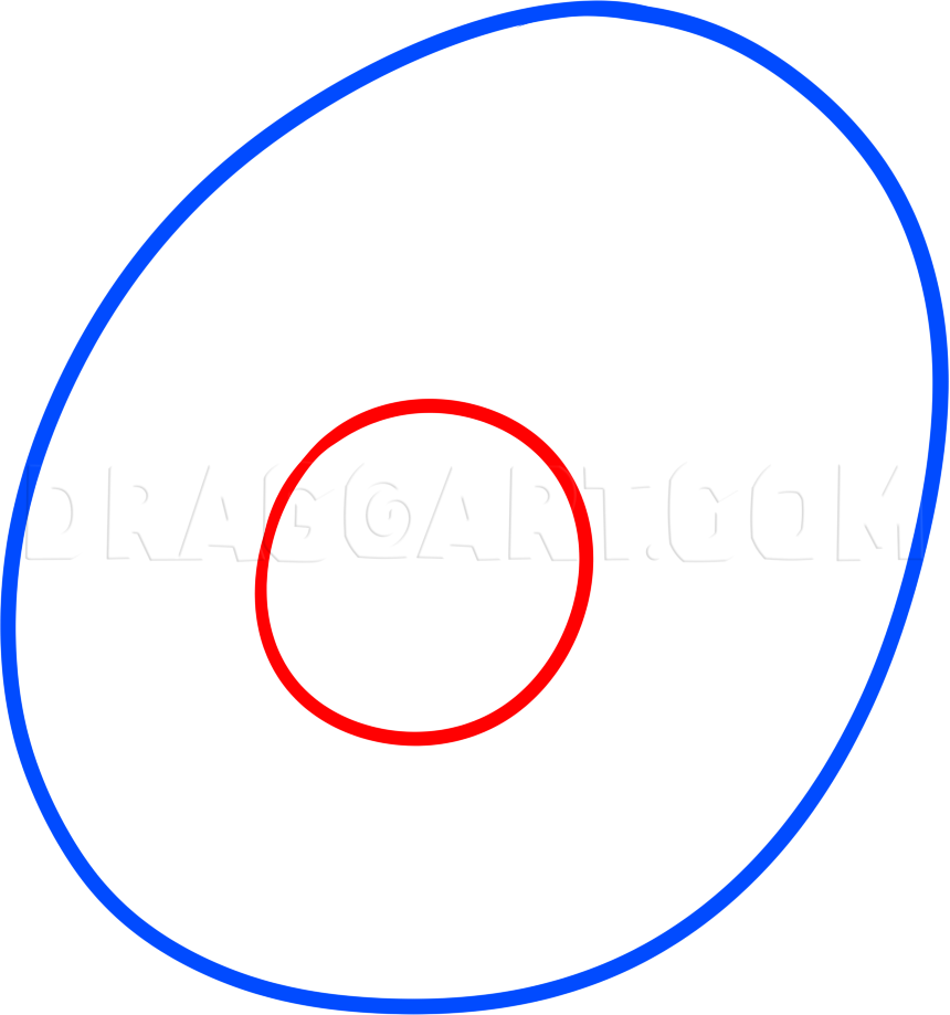 nucleus drawing