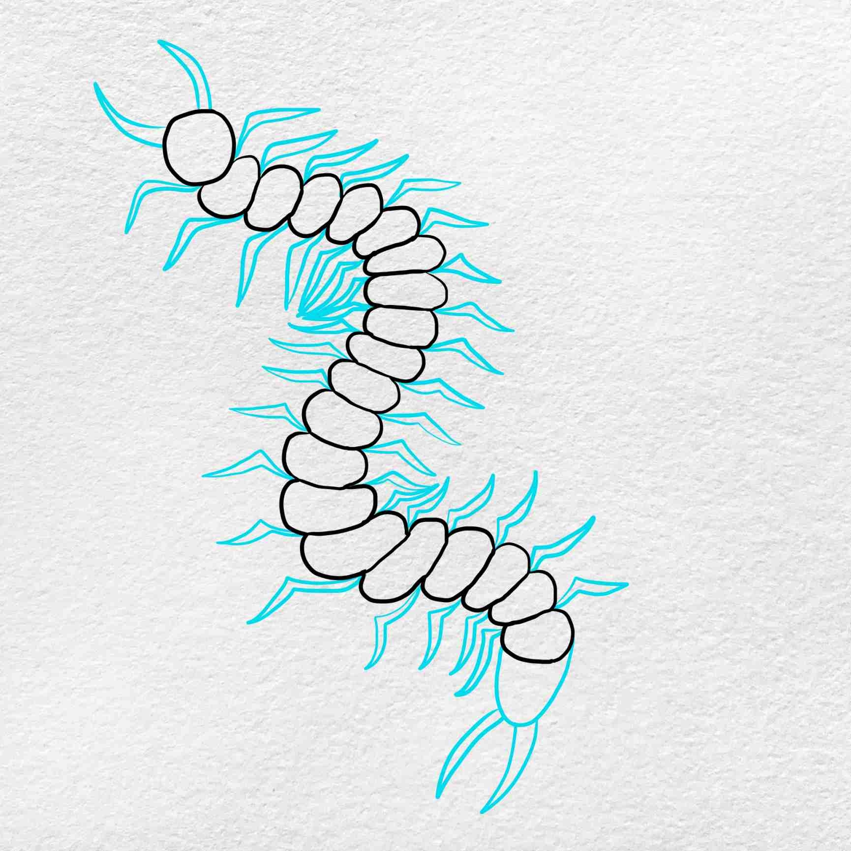 How To Draw A Centipede HelloArtsy